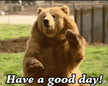 have a great day gif bear