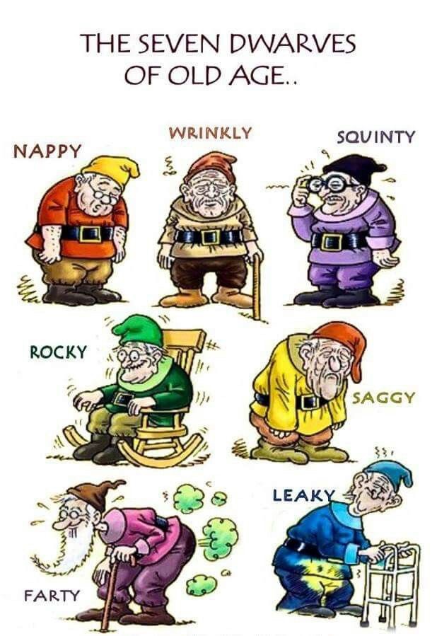The Seven Dwarves Of Old Age.. Wrinkly Squinty Nappy Rocky Saggy Leaky Farty