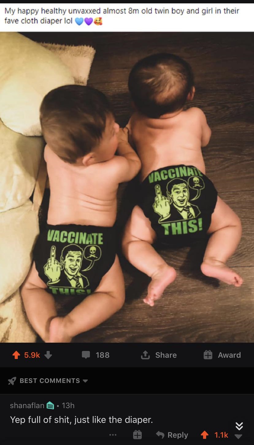 arm - My happy healthy unvaxxed almost 8m old twin boy and girl in their fave cloth diaper lol Vaccina Vaccinate This! 188 Award Best shanaflan B . 13h Yep full of shit, just the diaper.