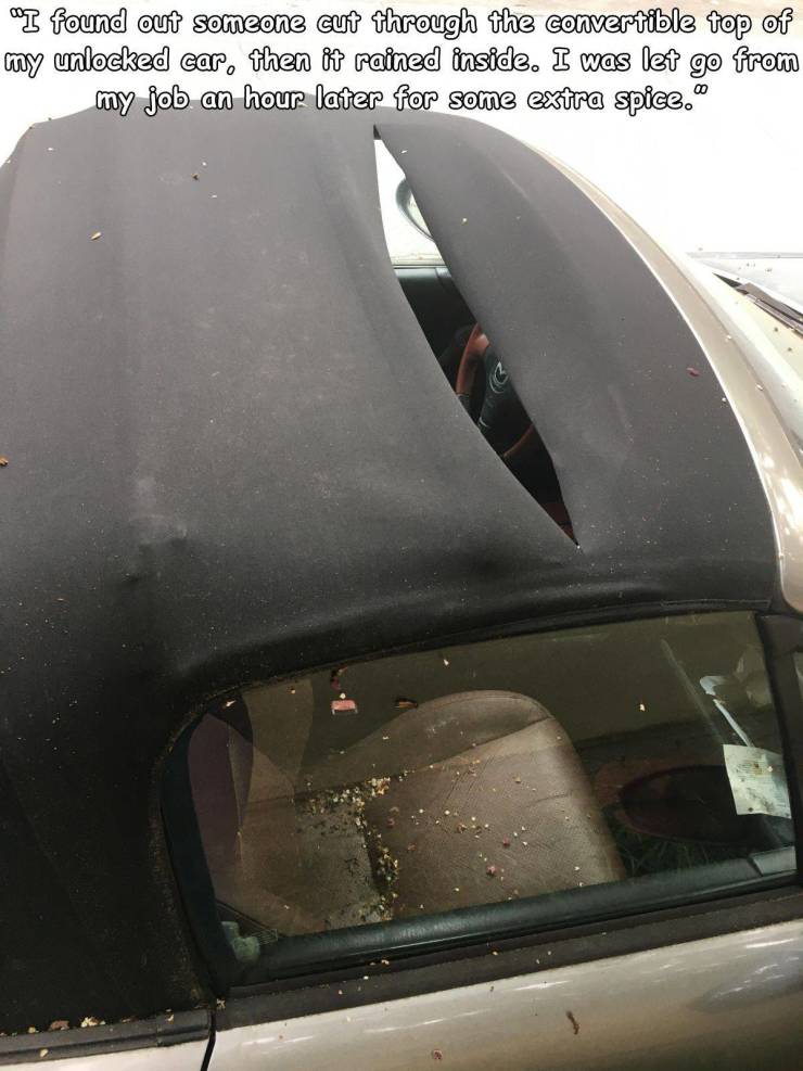 vehicle door - "I found out someone cut through the convertible top of my unlocked car, then it rained inside. I was let go from my job an hour later for some extra spice."