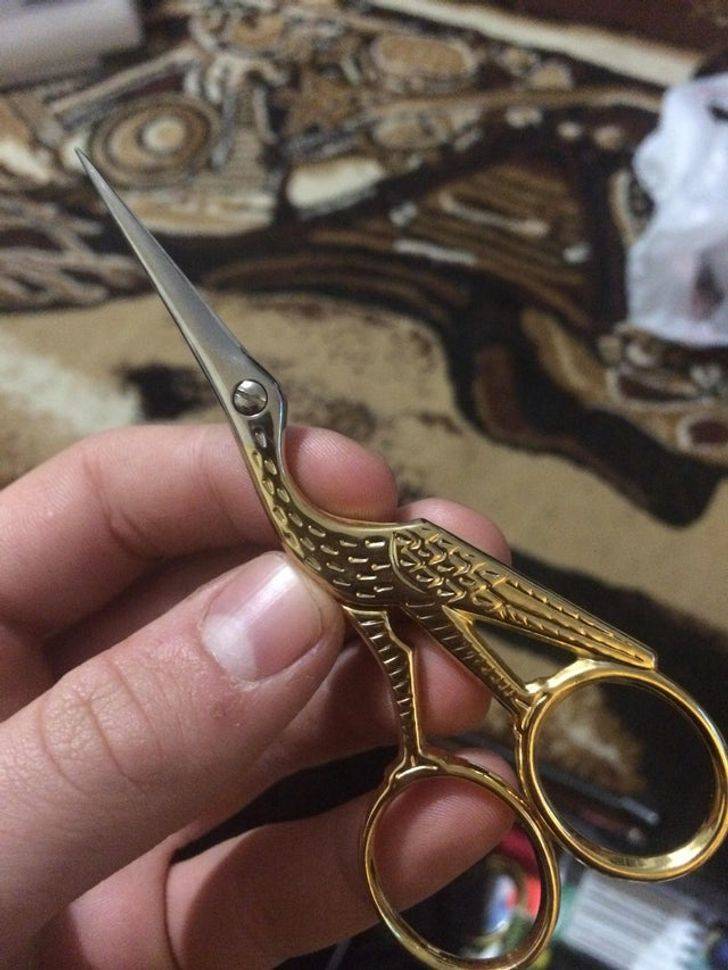 adelaide scissors