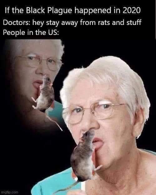 salty meme - If the Black Plague happened in 2020 Doctors hey stay away from rats and stuff People in the Us migflip.com