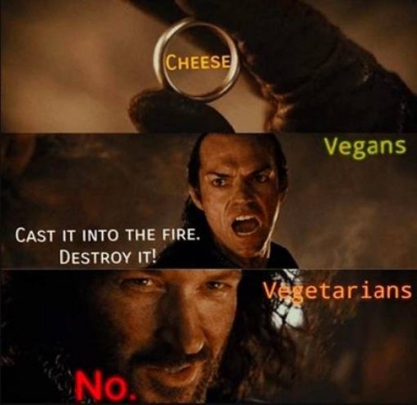 vegans cast it into the fire - Cheese Vegans Cast It Into The Fire. Destroy It! Vegetarians No.