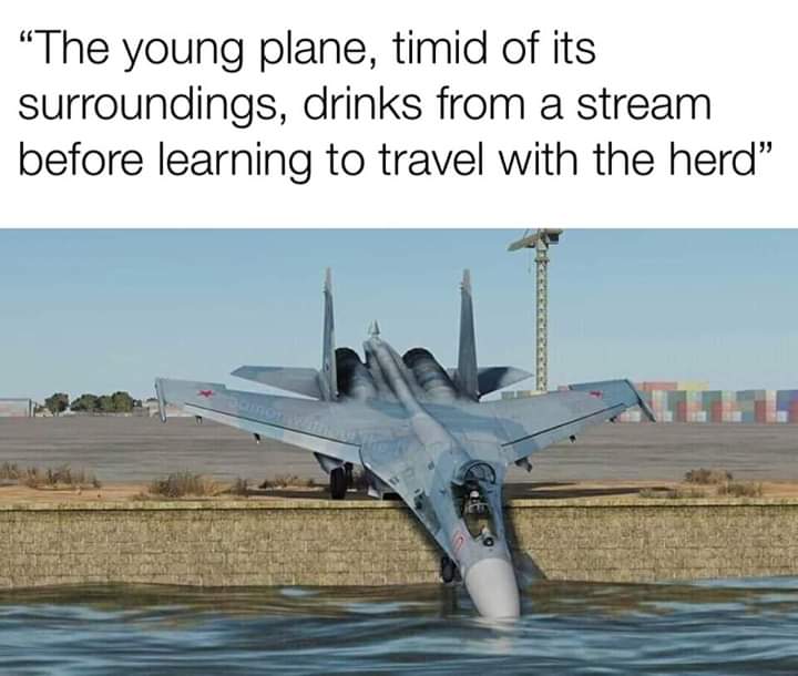 jet memes - "The young plane, timid of its surroundings, drinks from a stream before learning to travel with the herd