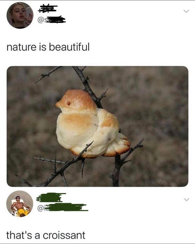 nature is beautiful croissant - nature is beautiful that's a croissant