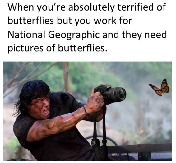 memes about photography - When you're absolutely terrified of butterflies but you work for National Geographic and they need pictures of butterflies.