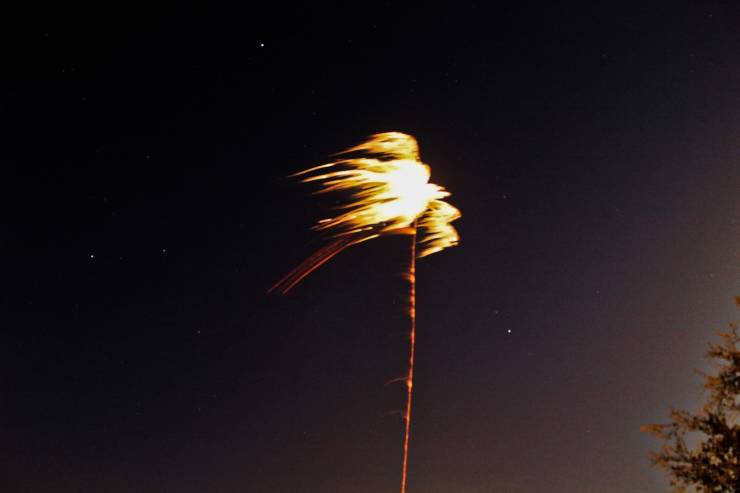 “One of the fireworks I took a picture of last night looks like a palm tree in the wind.”