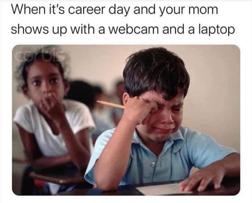 career day meme - When it's career day and your mom shows up with a webcam and a laptop