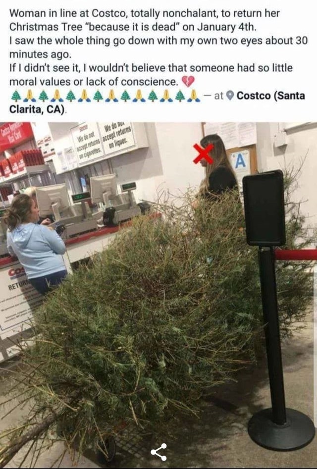 woman returns christmas tree to costco - Woman in line at Costco, totally nonchalant, to return her Christmas Tree "because it is dead" on January 4th. I saw the whole thing go down with my own two eyes about 30 minutes ago. If I didn't see it, I wouldn't