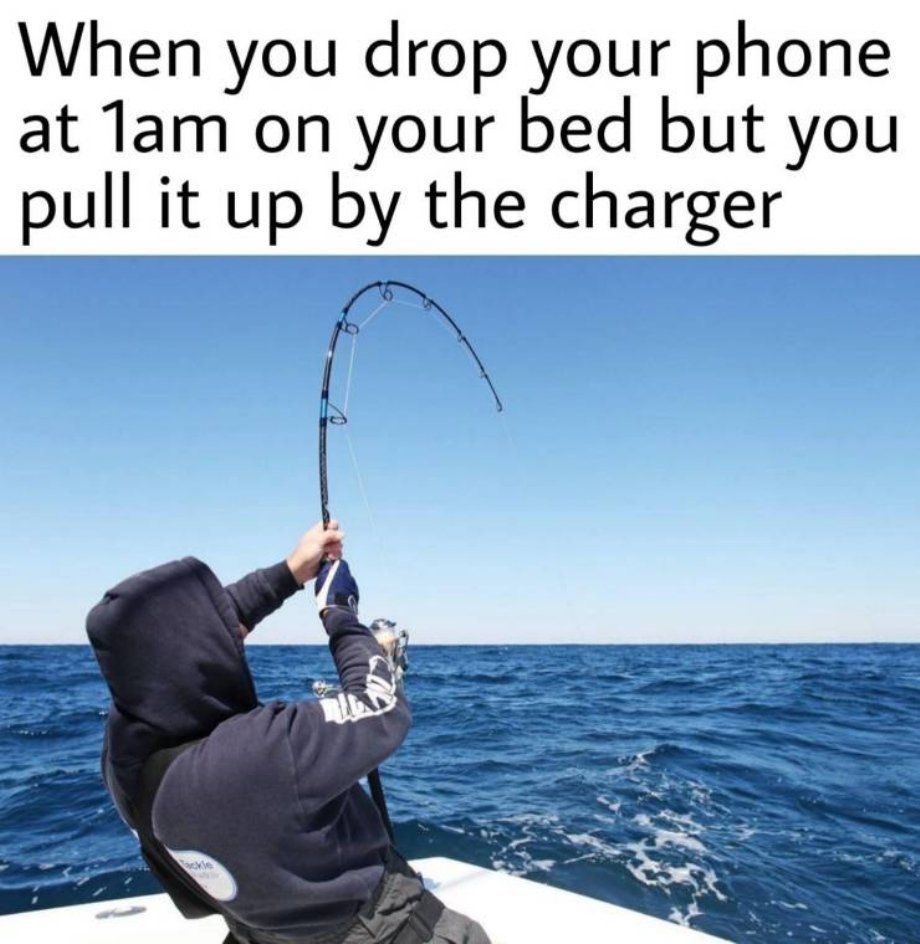 pulling fishing rod - When you drop your phone at 1am on your bed but you pull it up by the charger