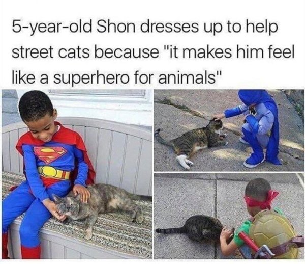 memes with cats dresses - 5yearold Shon dresses up to help street cats because "it makes him feel a superhero for animals"