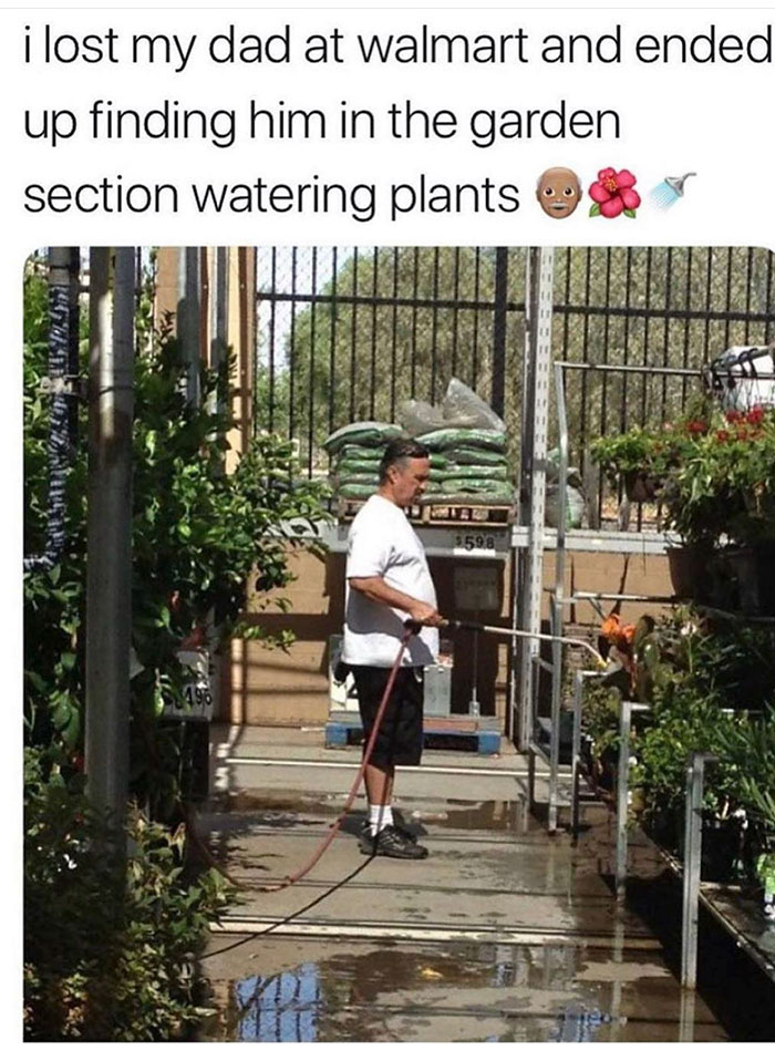 obsessed with plants meme - i lost my dad at walmart and ended up finding him in the garden section watering plants $59.8 496