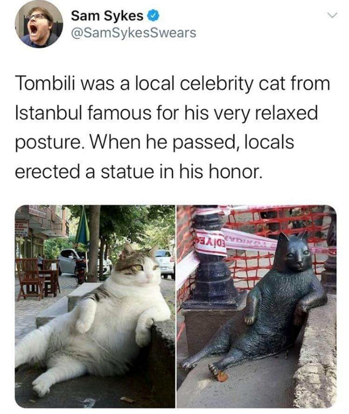 chill cat - Sam Sykes Tombili was a local celebrity cat from Istanbul famous for his very relaxed posture. When he passed, locals erected a statue in his honor. A!