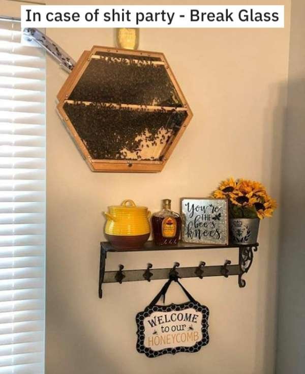 reddit indoor beehive - In case of shit party Break Glass You're Geldes knees Welcome Honeycomb to our
