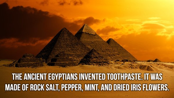pyramids images free download - The Ancient Egyptians Invented Toothpaste. It Was Made Of Rock Salt, Pepper, Mint, And Dried Iris Flowers.