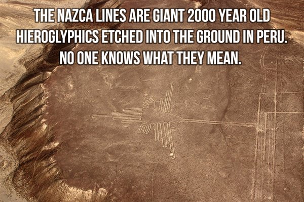 nazca lines - The Nazca Lines Are Giant 2000 Year Old Hieroglyphics Etched Into The Ground In Peru. No One Knows What They Mean.