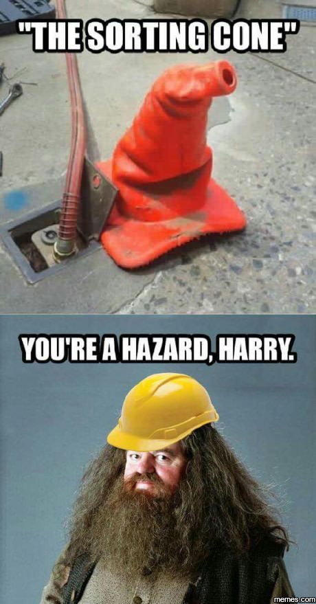 "The Sorting Cone" You'Re A Hazard, Harry.
