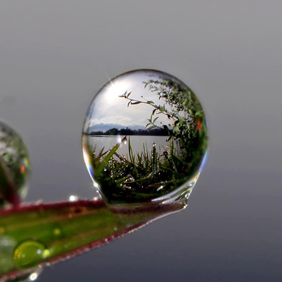 water drop macro photography