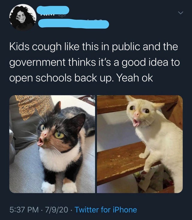 photo caption - Kids cough this in public and the government thinks it's a good idea to open schools back up. Yeah ok Oldascreatures 7920 Twitter for iPhone