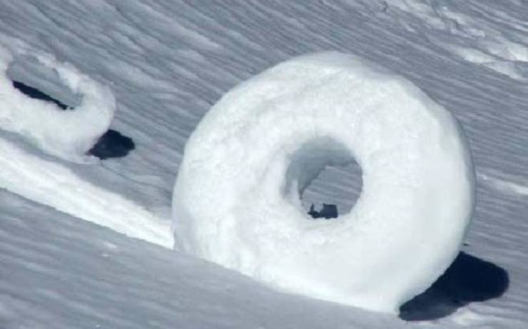snow donuts - o