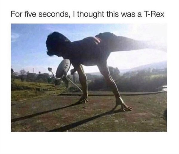 t rex meme - For five seconds, I thought this was a TRex
