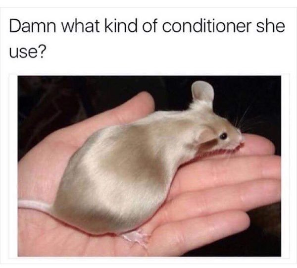 damn what kind of conditioner does she use - Damn what kind of conditioner she use?