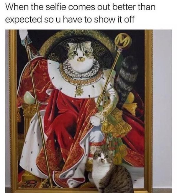 classical art memes cat - When the selfie comes out better than expected so u have to show it off M