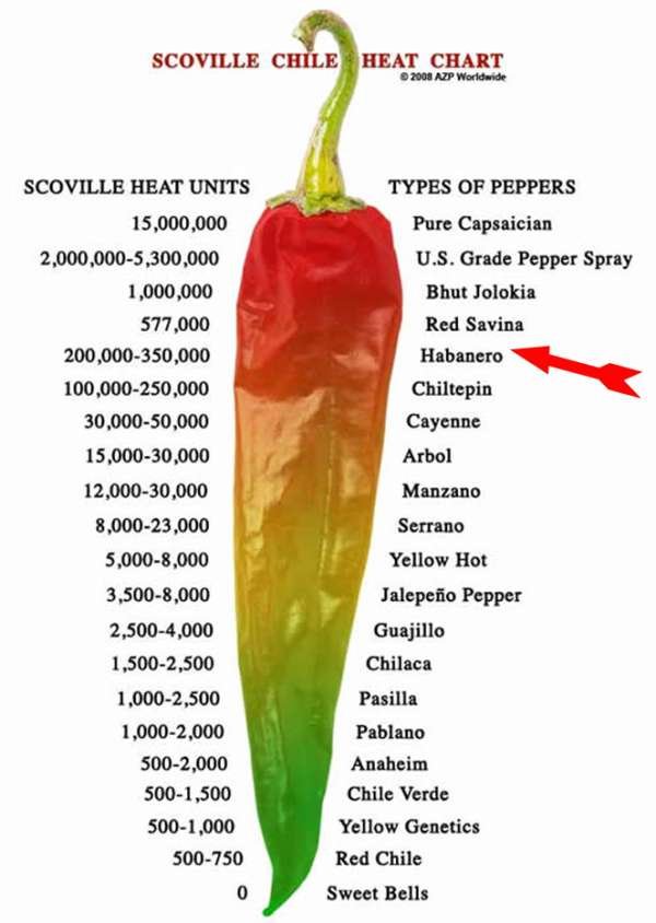 manzano pepper - Scoville Chile Heat Chart 2008 Azp Worldwide Types Of Peppers Scoville Heat Units 15,000,000 2,000,0005,300,000 1,000,000 577,000 200,000350,000 100,000250,000 30,00050,000 15,00030,000 12,00030,000 8,00023,000 5,0008,000 3,5008,000 2,500