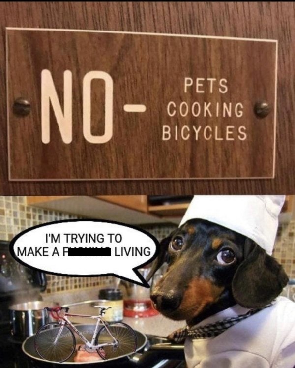no pets cooking bicycles - No Pets Cooking Bicycles I'M Trying To Make Afl Living