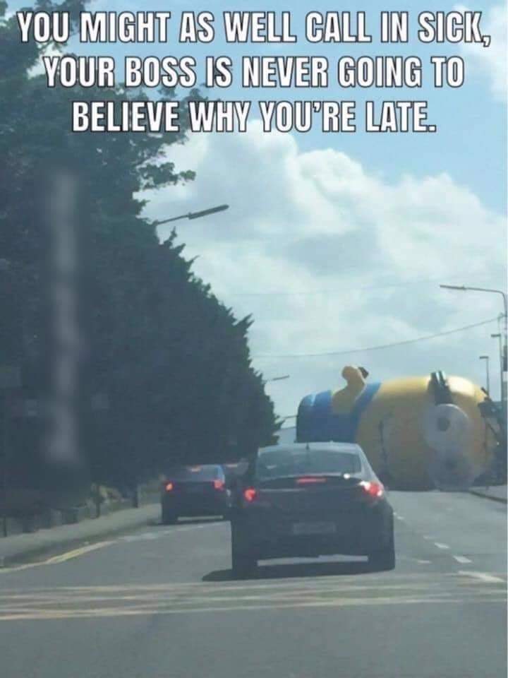 giant minion blocking road - You Might As Well Call In Sick, Your Boss Is Never Going To Believe Why You'Re Late.