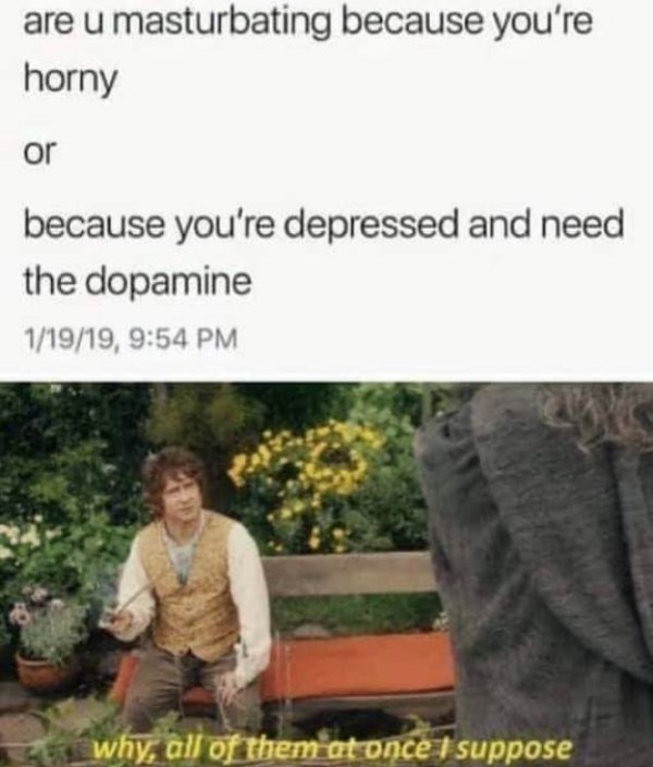 sex memes - all of them at once i suppose - are u masturbating because you're horny or because you're depressed and need the dopamine 11919, why, all of them at once I suppose