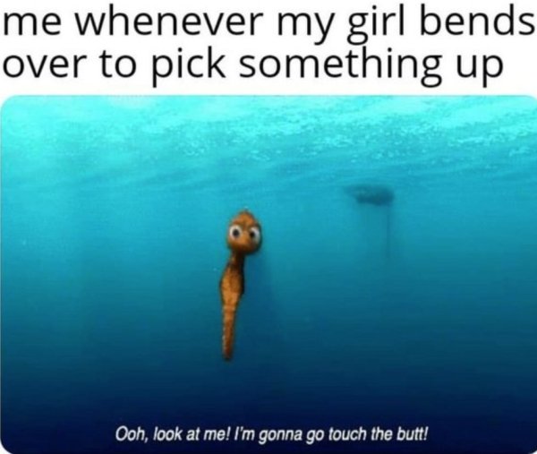 sex memes - finding nemo touch the butt - me whenever my girl bends over to pick something up Ooh, look at me! I'm gonna go touch the butt!
