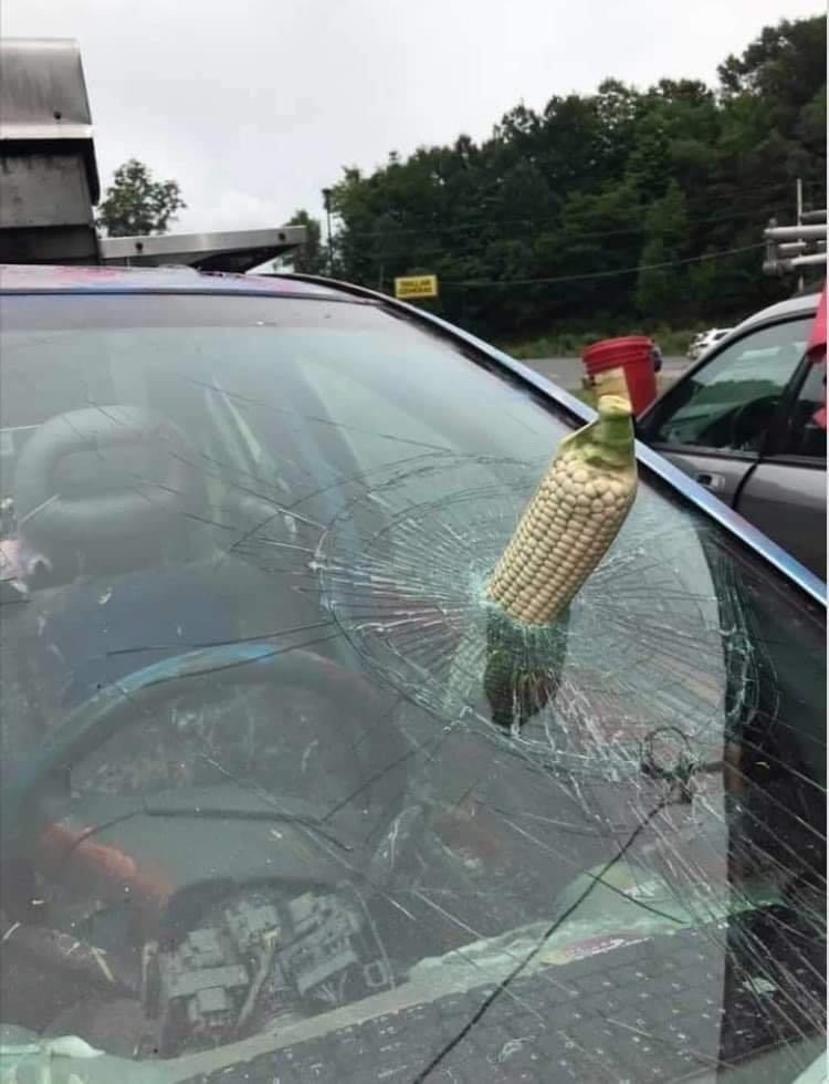 corn cob stuck through car glass