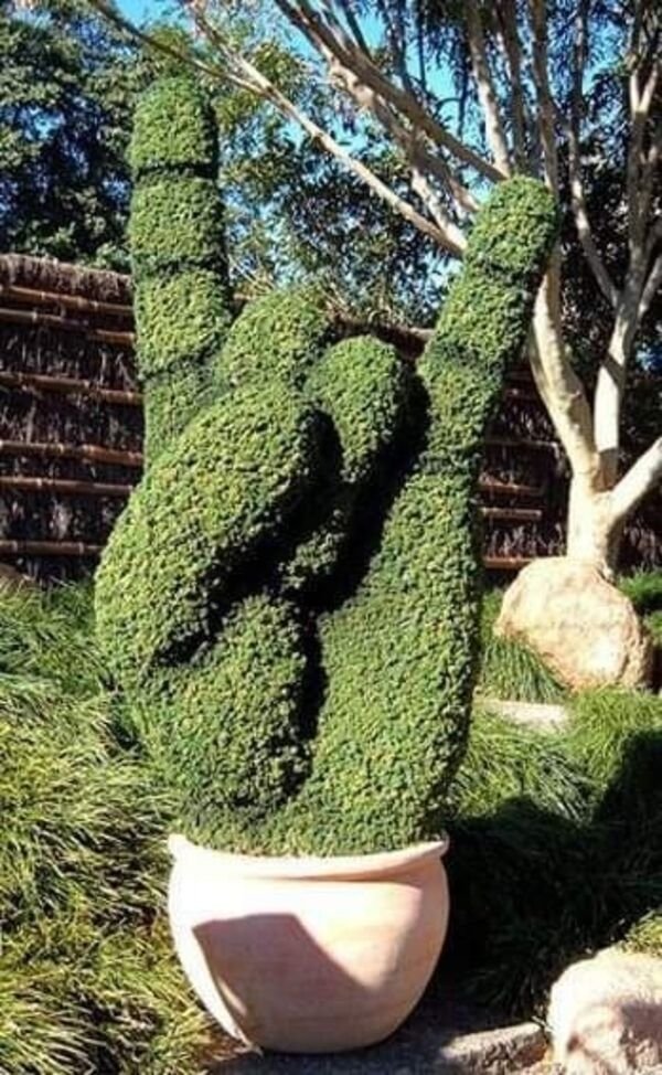 hand topiary