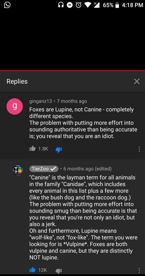 tierzoo murdered by words - 65% Replies g ginganz13 7 months ago Foxes are Lupine, not Canine completely different species. The problem with putting more effort into sounding authoritative than being accurate is; you reveal that you are an idiot. TierZoo 