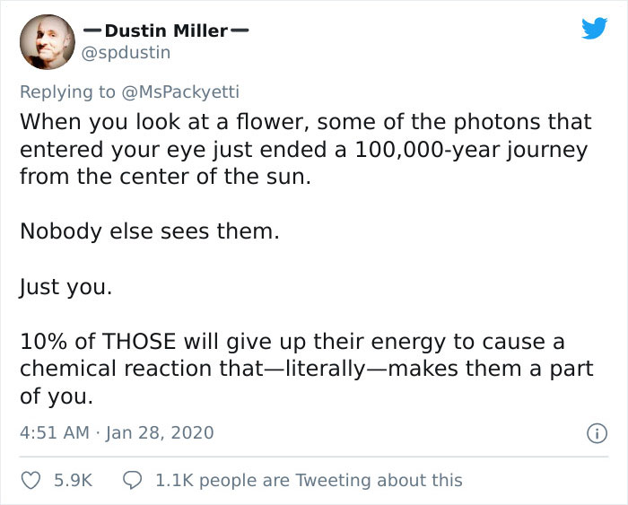 When you look at a flower, some of the photons that entered your eye just ended a 100,000 year journey from the center of the sun. Nobody else sees them. Just you. 10% of Those will give up their energy to cause a chemical reaction