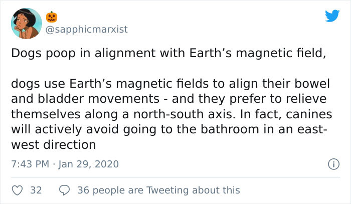 Dogs poop in alignment with Earth's magnetic field, dogs use Earth's magnetic fields to align their bowel and bladder movements and they prefer to relieve themselves along a north south axis. In fact, canines will actively avoid going to the bathroom