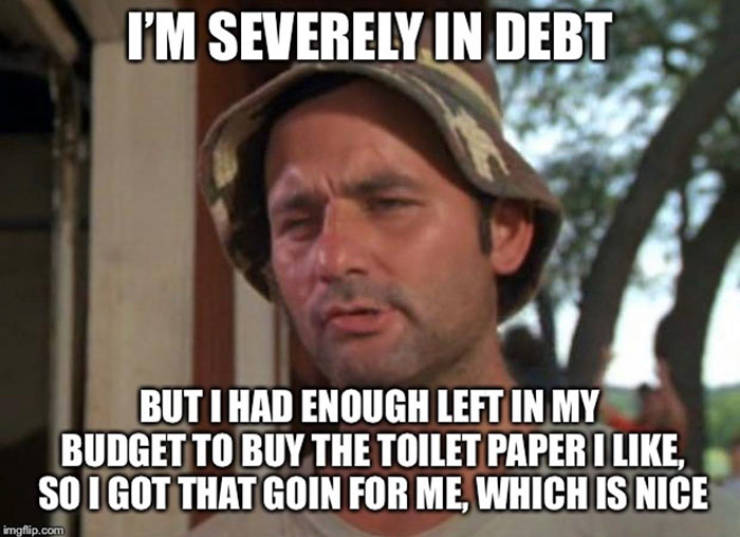 silence is deafening meme - I'M Severely In Debt But I Had Enough Left In My Budget To Buy The Toilet Paper I , So I Got That Goin For Me, Which Is Nice imgflip.com