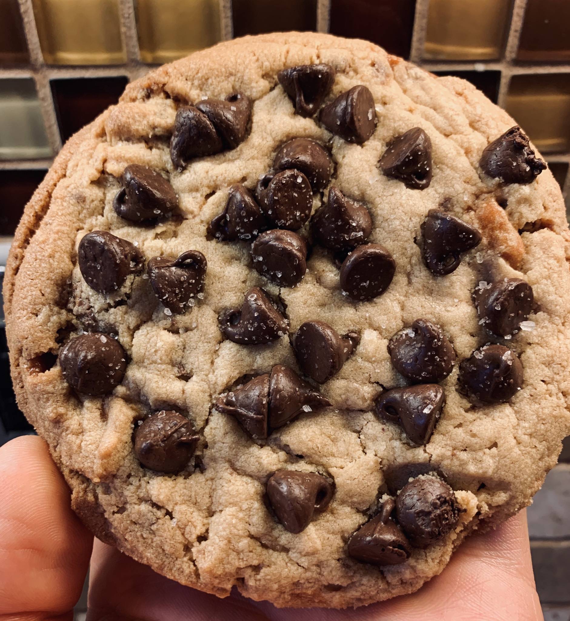 chocolate chip cookie