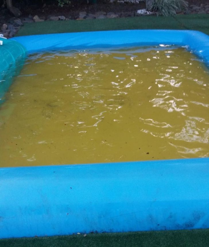 This small pool has a yellow plastic mat at the bottom, making it look really unpleasant.