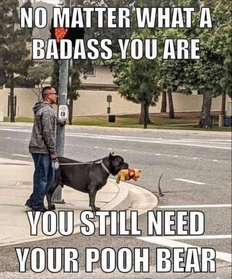 dog pooh bear meme - No Matter What A Badass You Are You Still Need Your Pooh Bear