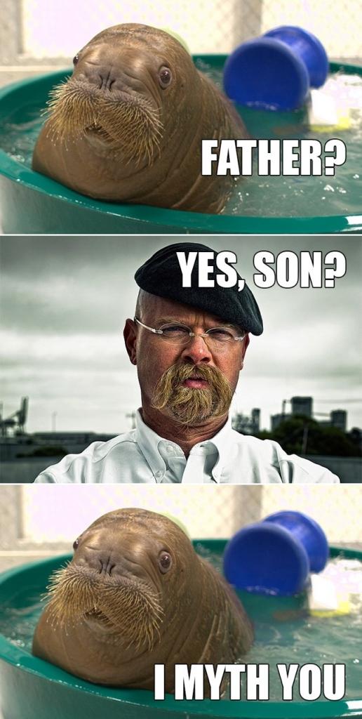 mythbusters funny - Father? Yes, Son? I Myth You