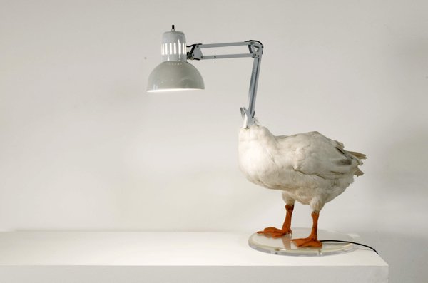 duck lamp