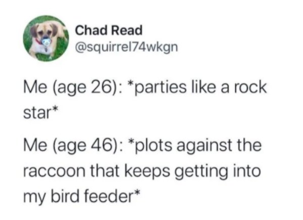 document - Chad Read Me age 26 parties a rock star Me age 46 plots against the raccoon that keeps getting into my bird feeder