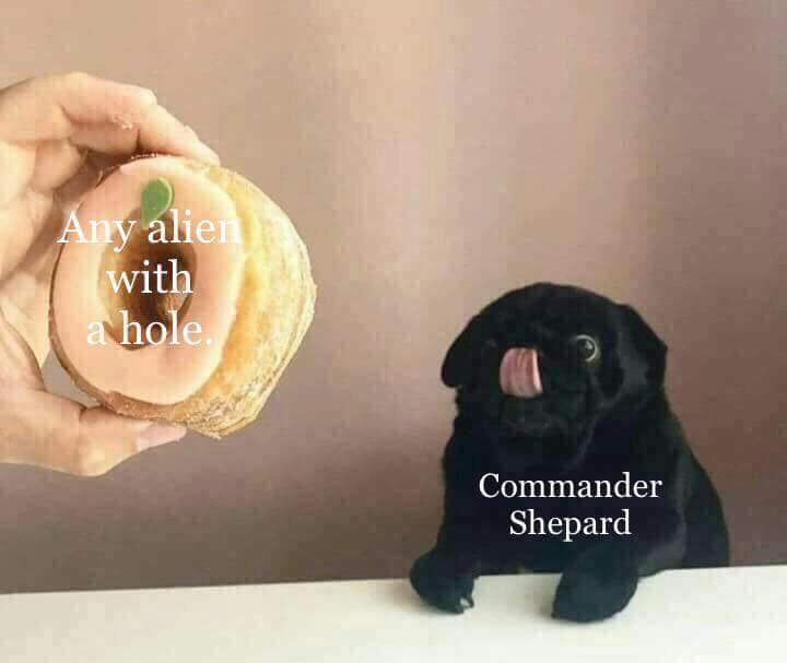 donut funny meme - Any alien with a hole Commander Shepard