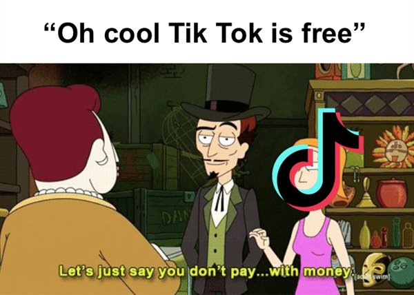 let's just say you don t pay - "Oh cool Tik Tok is free" Day Let's just say you don't pay....with money 80