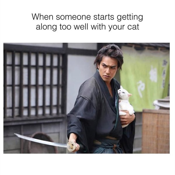 aizawa memes - When someone starts getting along too well with your cat