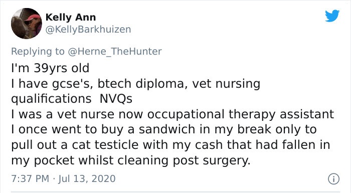 document - Kelly Ann I'm 39yrs old I have gcse's, btech diploma, vet nursing qualifications NVQs I was a vet nurse now occupational therapy assistant I once went to buy a sandwich in my break only to pull out a cat testicle with my cash that had fallen in