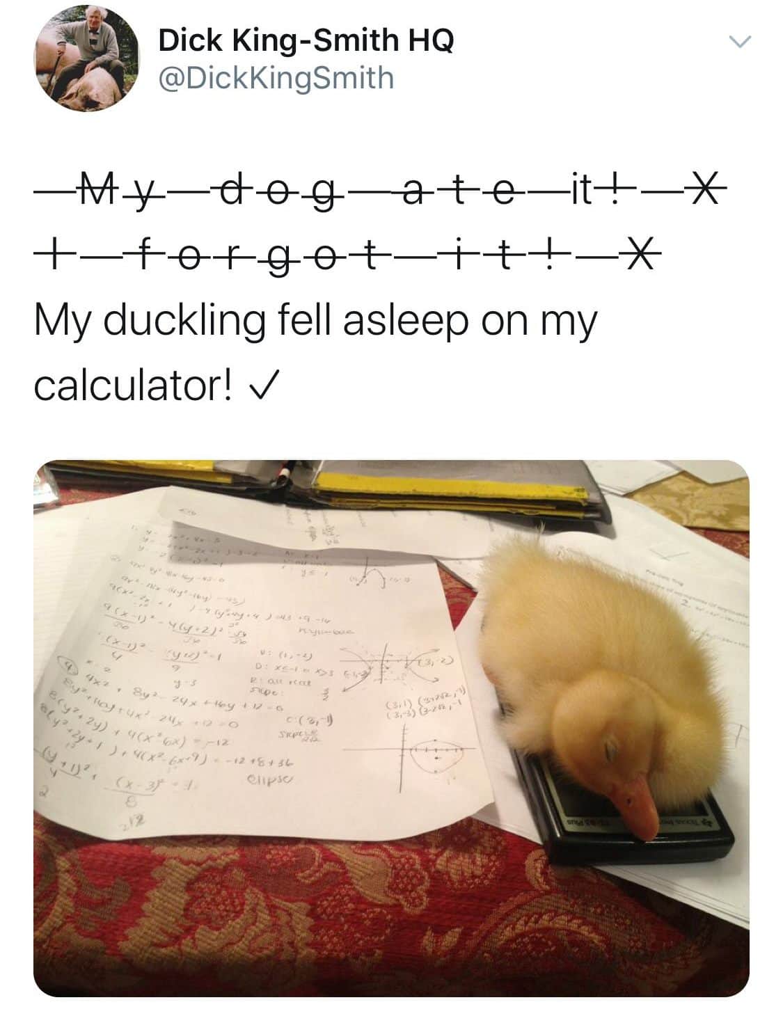 duck fell asleep on my calculator - Dick KingSmith Hq 4686xx 12 18136 Patra C2,0 Onpsc Mtogateit orgotit My duckling fell asleep on my calculator! fo Bryz24