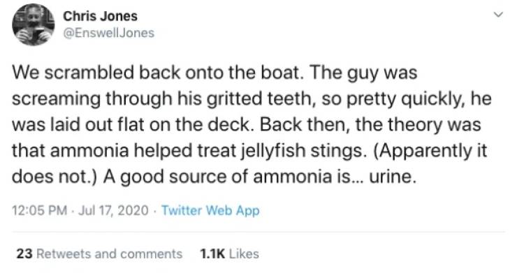 > Chris Jones We scrambled back onto the boat. The guy was screaming through his gritted teeth, so pretty quickly, he was laid out flat on the deck. Back then, the theory was that ammonia helped treat jellyfish stings. Apparently it does not. A good sourc
